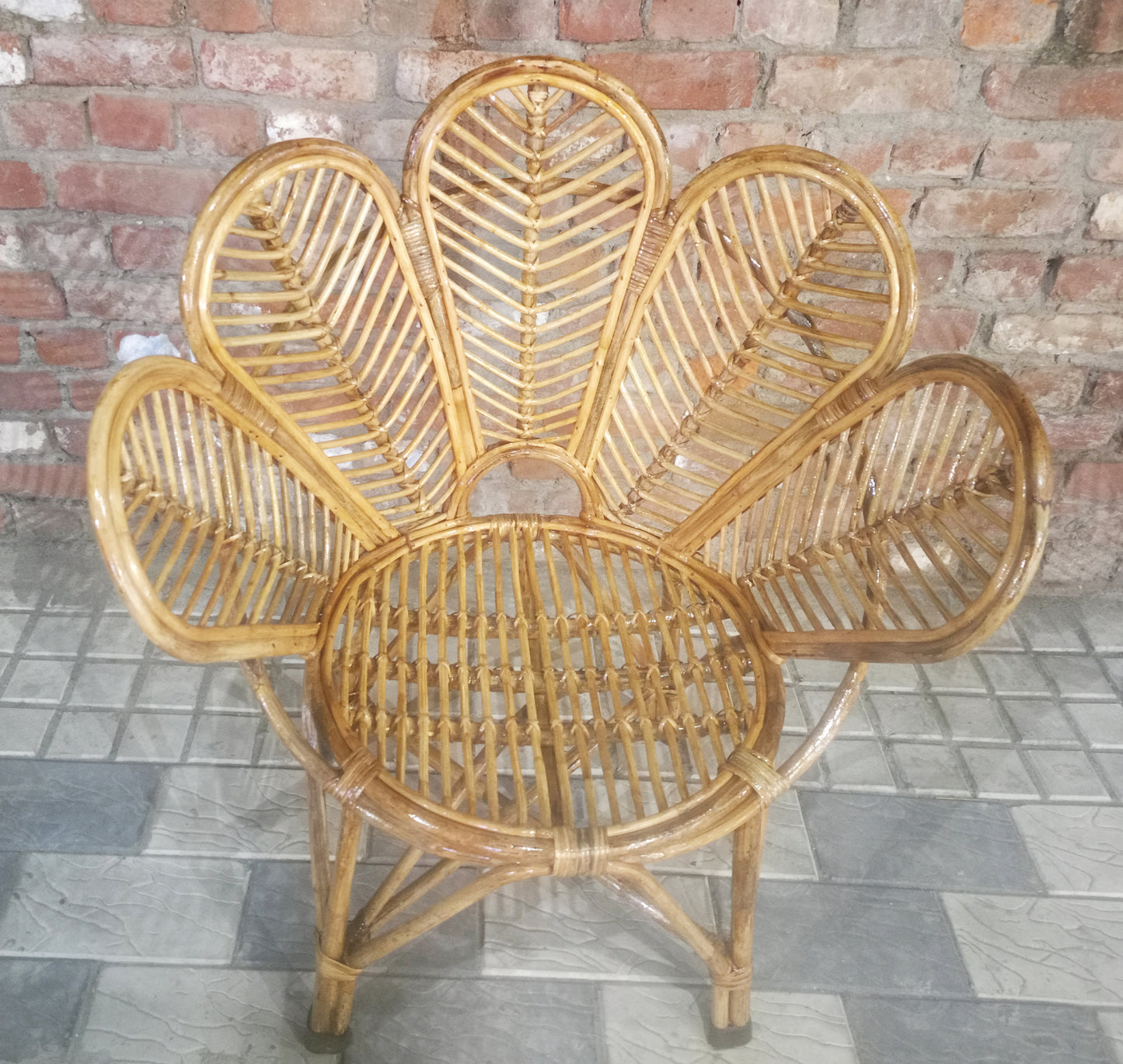 Set of 2 Wicker chair, handmade Peacock design wooden home furniture