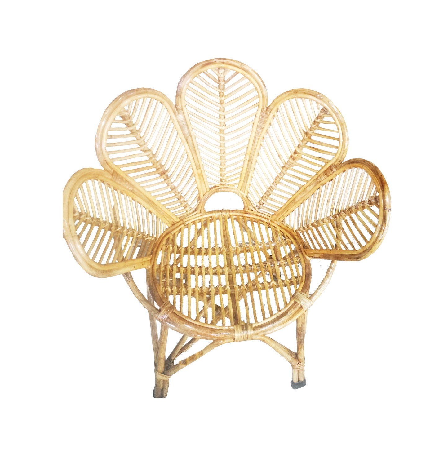 Set of 2 Wicker chair, handmade Peacock design wooden home furniture