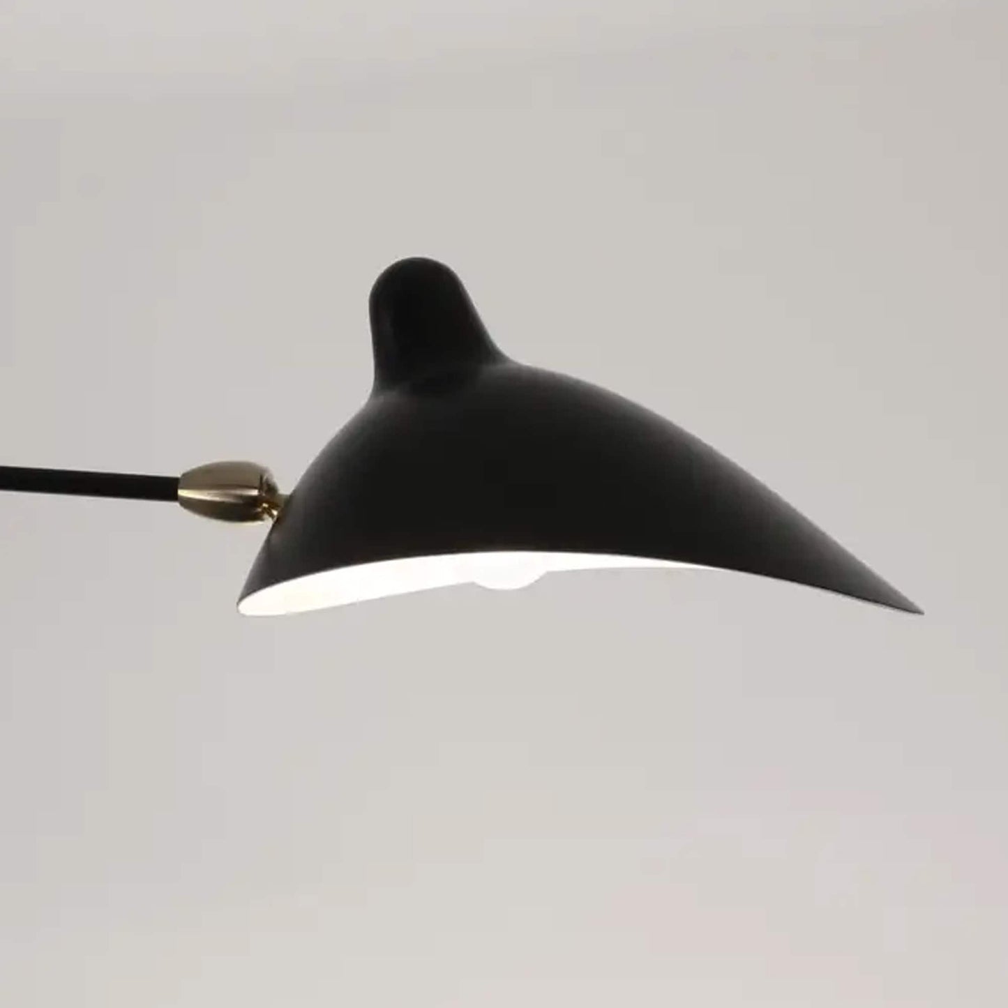 2-Arm Brass Ceiling Light: Modern Matte Black Fixture