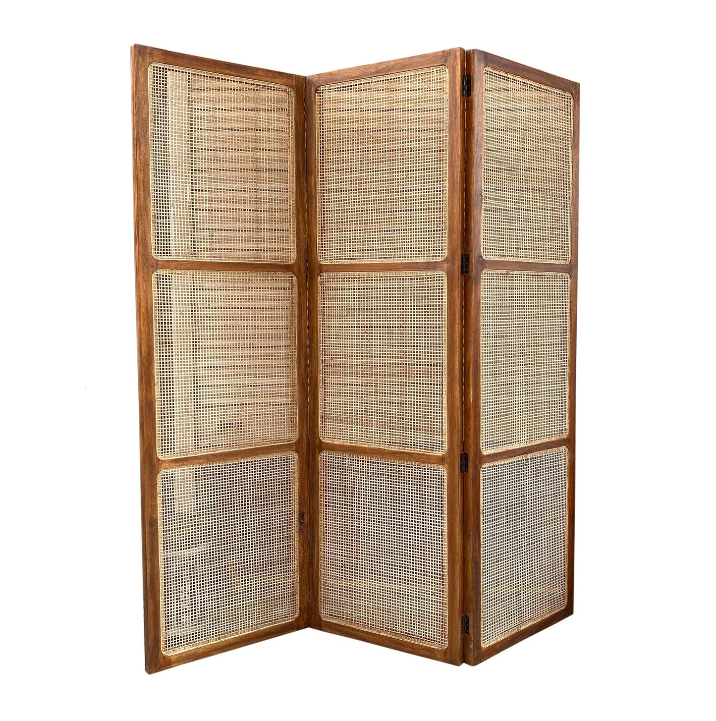 Natural Rattan cane Room partition Screen, Folding Divider, Mid-century Separator