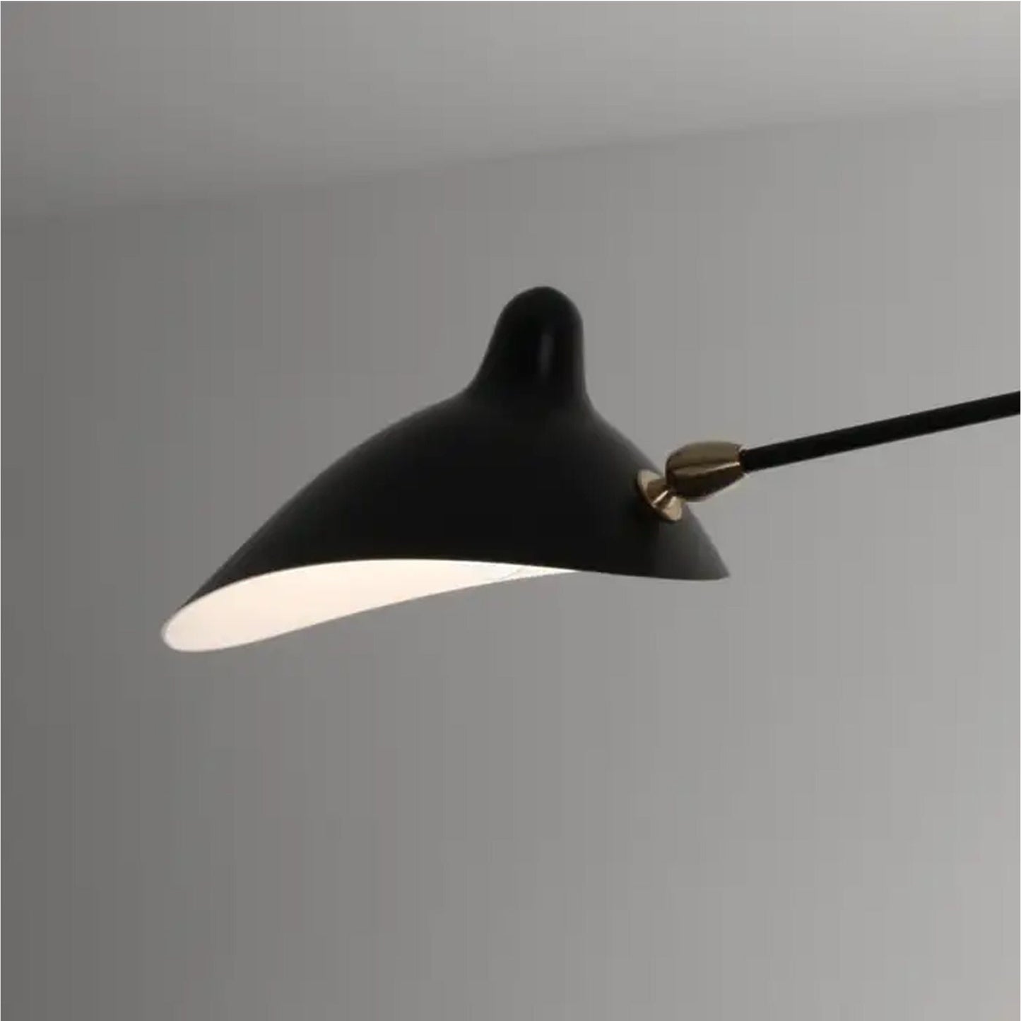 2-Arm Brass Ceiling Light: Modern Matte Black Fixture