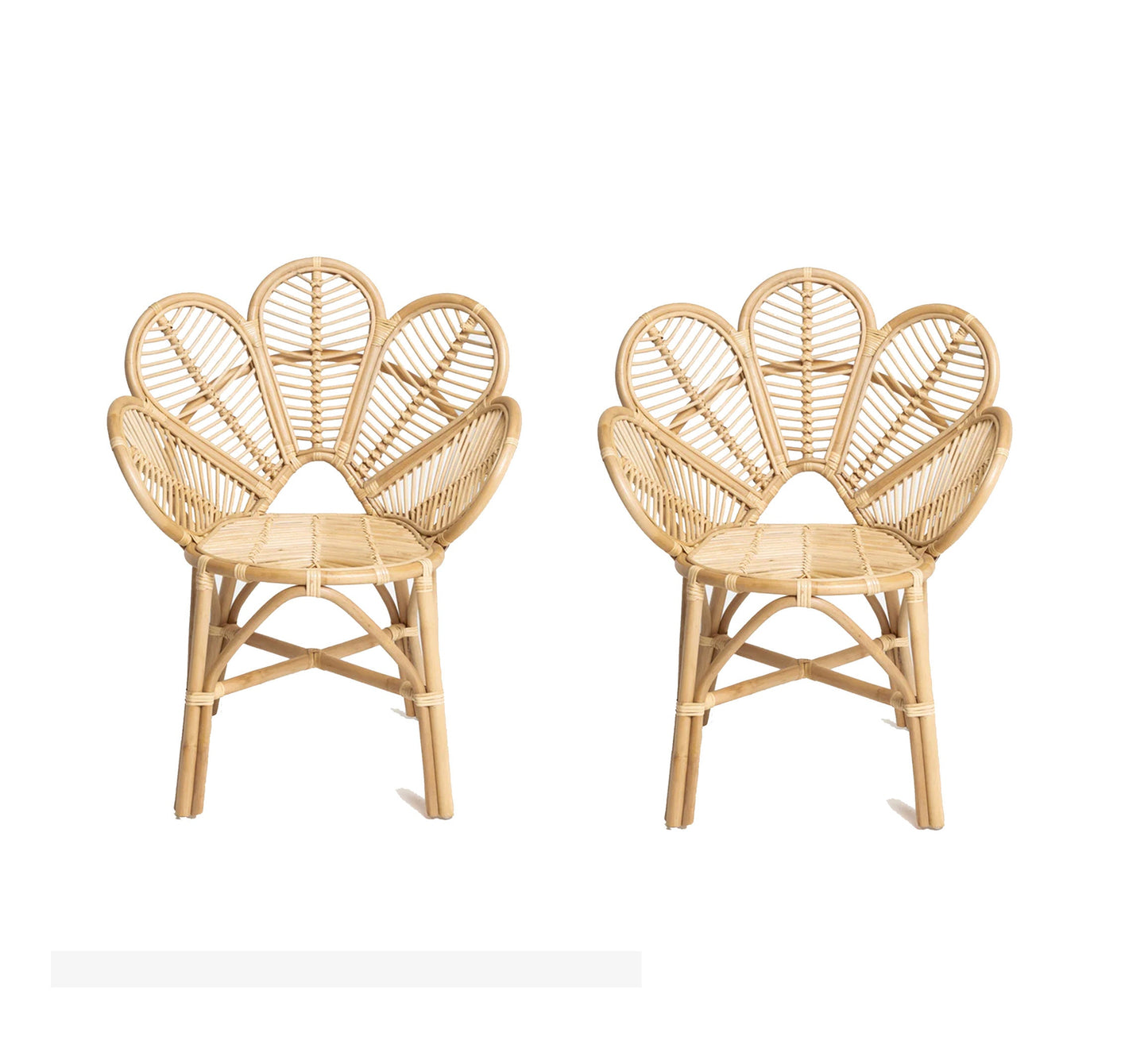 Set of 2 Wicker chair, handmade Peacock design wooden home furniture
