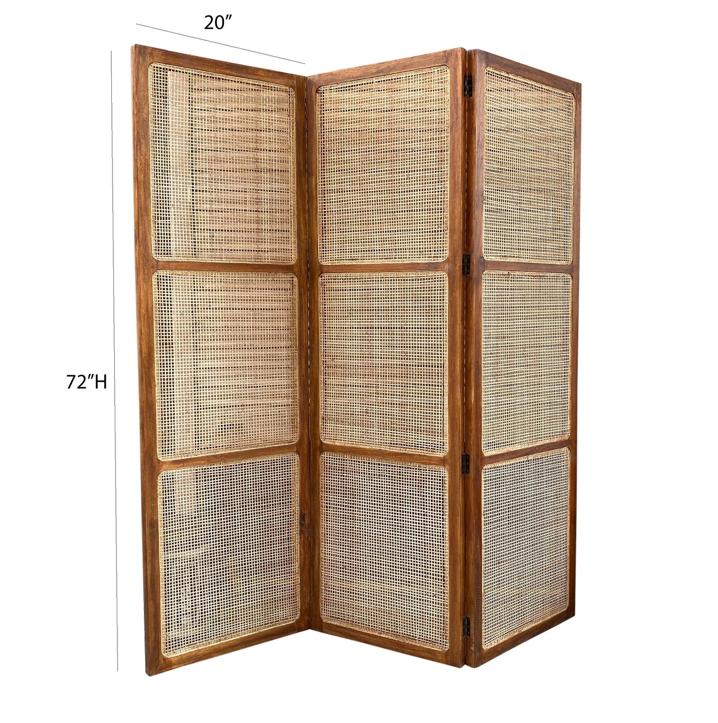 Natural Rattan cane Room partition Screen, Folding Divider, Mid-century Separator
