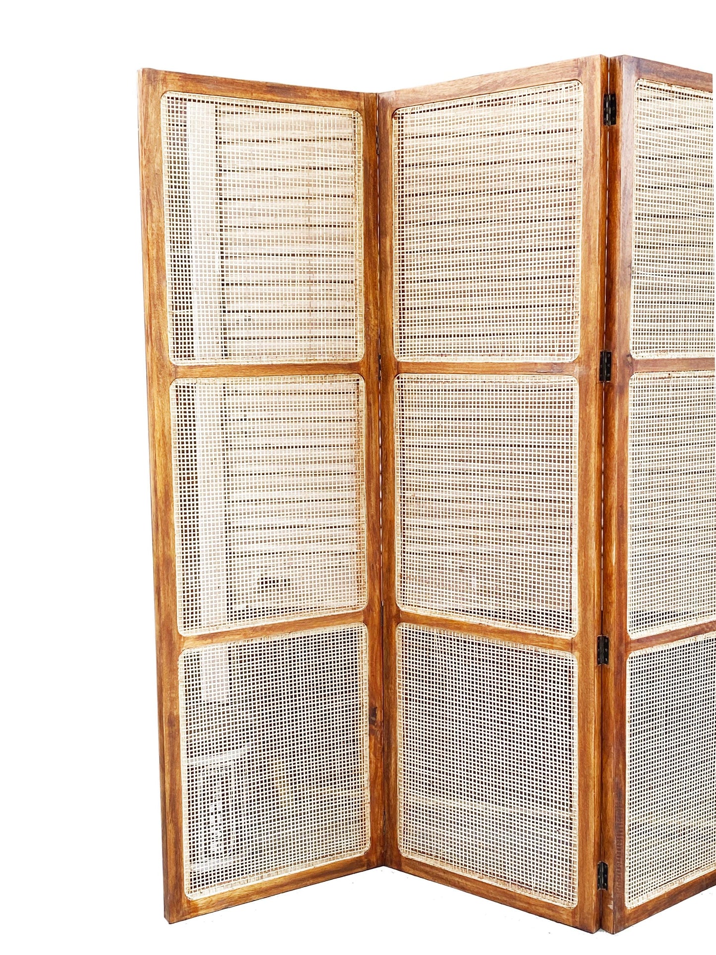 Natural Rattan cane Room partition Screen, Folding Divider, Mid-century Separator