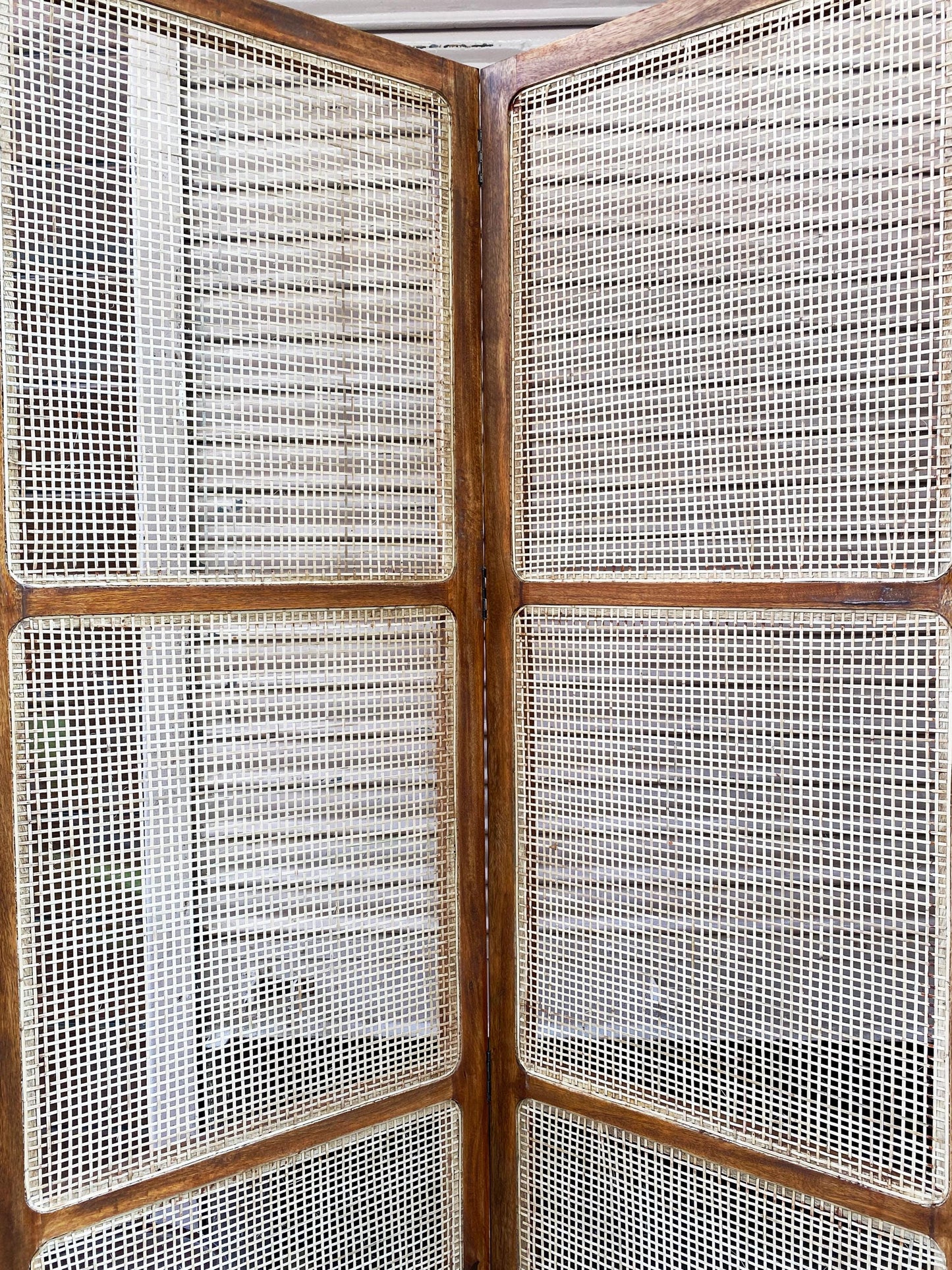 Natural Rattan cane Room partition Screen, Folding Divider, Mid-century Separator