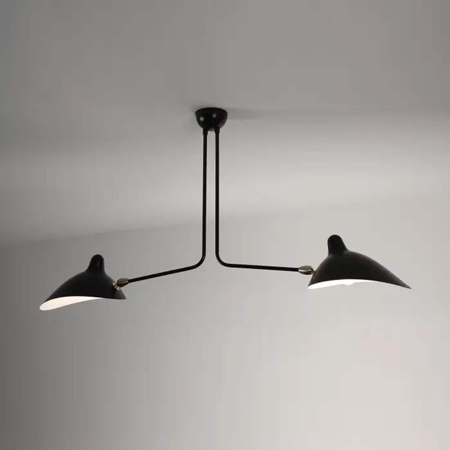 2-Arm Brass Ceiling Light: Modern Matte Black Fixture